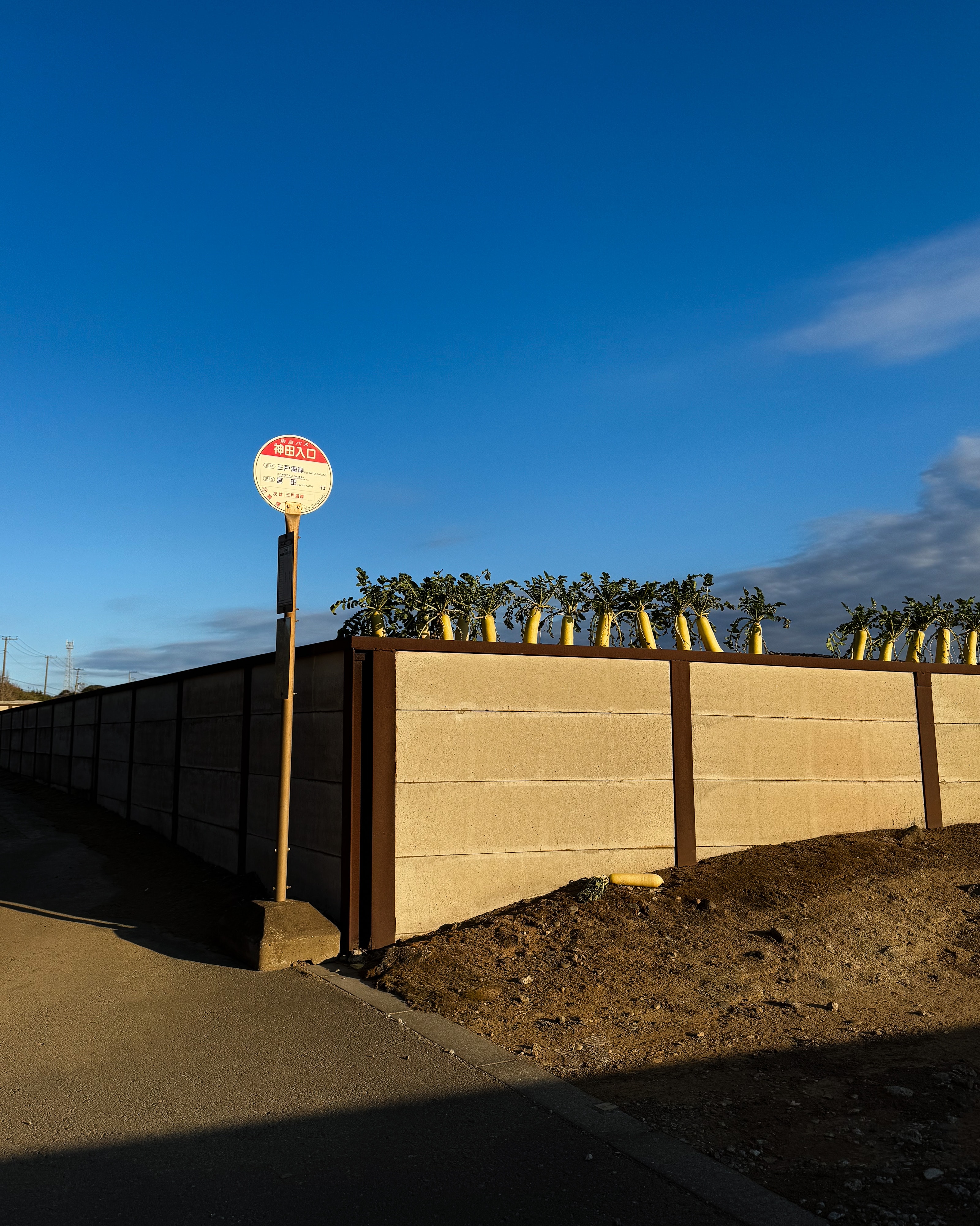 神奈川県 − 三浦半島